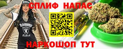 сатива Гатчина