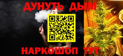 сатива Гатчина