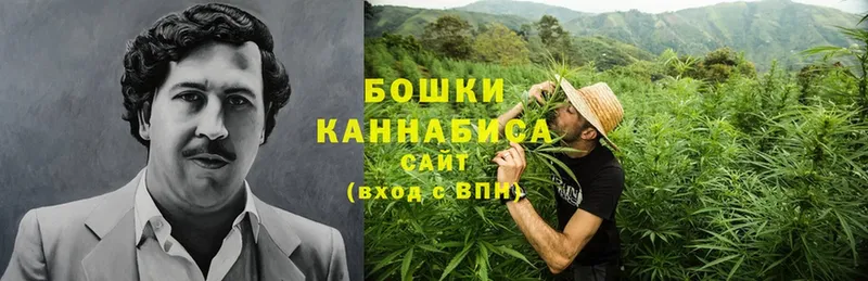 дарнет шоп  Аксай  Каннабис индика 